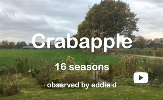 Video Video afspelen