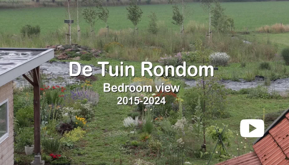 Video Video afspelen